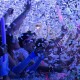dayglow-nervo-tucson-121102-2037