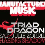 Triad Dragons - Chasing Shadows