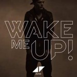 Avicii - Wake Me Up