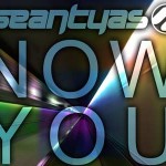 Sean Tyas - Now You See