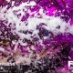foam-wonderland-carnage-frontier-hall-140926-14
