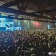 Seven Lions at The Van Buren-1-2