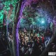 Dusky-Shady-Park-181209-003