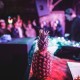 Destructo @ Shady Park| 190209 | Photos by Jacob Tyler Dunn