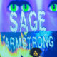 Sage-Armstrong-Darkstar-220612-045